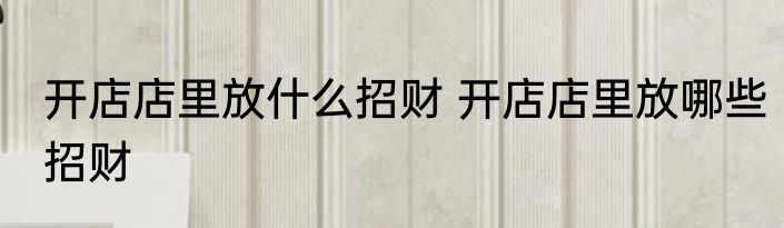 开店店里放什么招财 开店店里放哪些招财