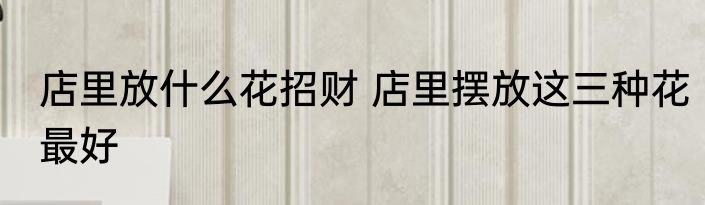 店里放什么花招财 店里摆放这三种花最好