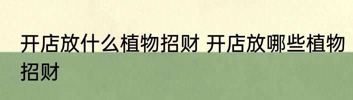 开店放什么植物招财 开店放哪些植物招财