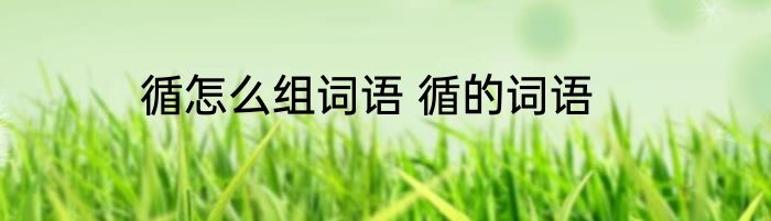 循怎么组词语 循的词语