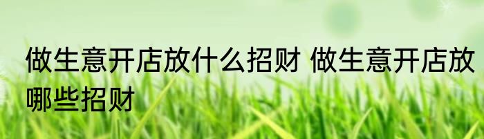 做生意开店放什么招财 做生意开店放哪些招财