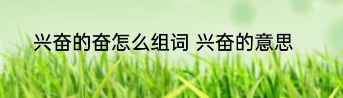 兴奋的奋怎么组词 兴奋的意思