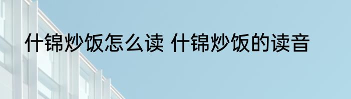什锦炒饭怎么读 什锦炒饭的读音