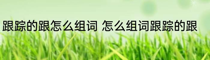 跟踪的跟怎么组词 怎么组词跟踪的跟