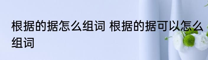 根据的据怎么组词 根据的据可以怎么组词