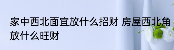 家中西北面宜放什么招财 房屋西北角放什么旺财