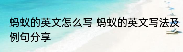 蚂蚁的英文怎么写 蚂蚁的英文写法及例句分享
