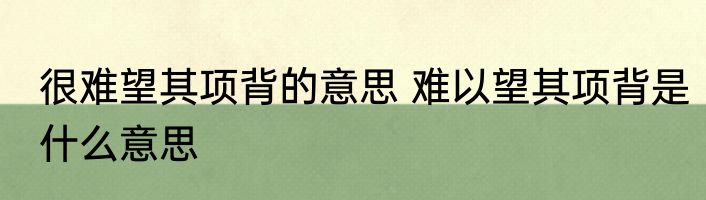 很难望其项背的意思 难以望其项背是什么意思