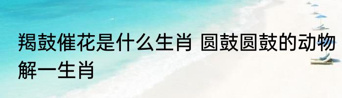 羯鼓催花是什么生肖 圆鼓圆鼓的动物解一生肖