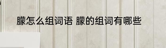 朦怎么组词语 朦的组词有哪些