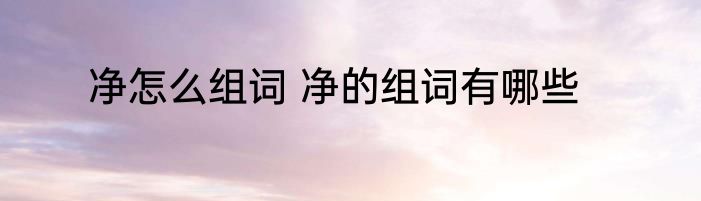 净怎么组词 净的组词有哪些