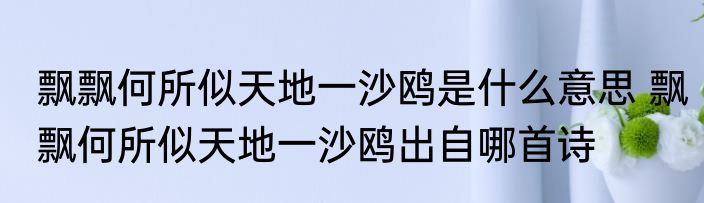 飘飘何所似天地一沙鸥是什么意思 飘飘何所似天地一沙鸥出自哪首诗