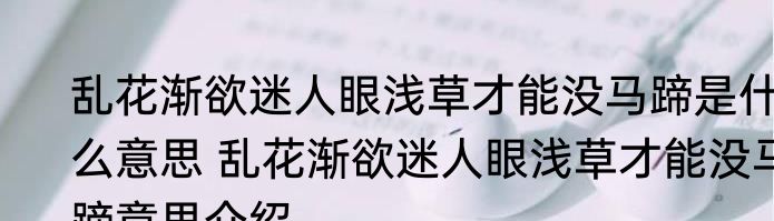 乱花渐欲迷人眼浅草才能没马蹄是什么意思 乱花渐欲迷人眼浅草才能没马蹄意思介绍