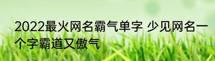 2022最火网名霸气单字 少见网名一个字霸道又傲气