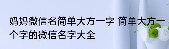 妈妈微信名简单大方一字 简单大方一个字的微信名字大全
