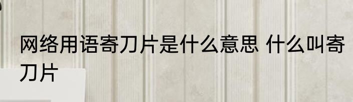 网络用语寄刀片是什么意思 什么叫寄刀片