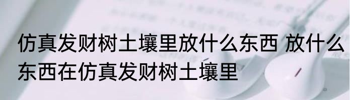 仿真发财树土壤里放什么东西 放什么东西在仿真发财树土壤里