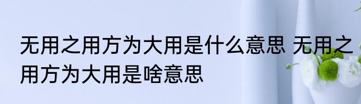 无用之用方为大用是什么意思 无用之用方为大用是啥意思