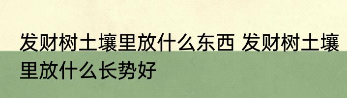 发财树土壤里放什么东西 发财树土壤里放什么长势好