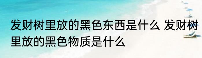 发财树里放的黑色东西是什么 发财树里放的黑色物质是什么
