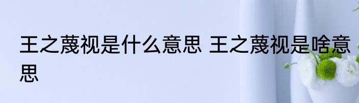 王之蔑视是什么意思 王之蔑视是啥意思