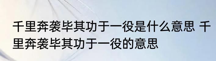 千里奔袭毕其功于一役是什么意思 千里奔袭毕其功于一役的意思