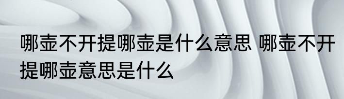 哪壶不开提哪壶是什么意思 哪壶不开提哪壶意思是什么