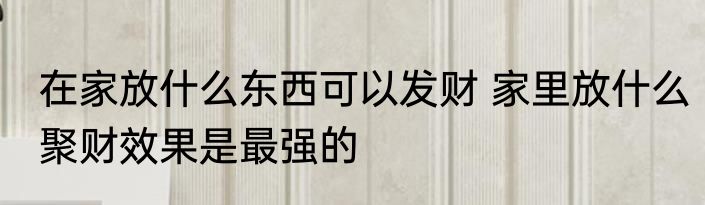 在家放什么东西可以发财 家里放什么聚财效果是最强的