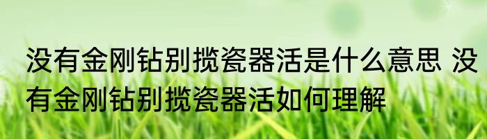 没有金刚钻别揽瓷器活是什么意思 没有金刚钻别揽瓷器活如何理解