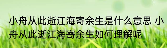 小舟从此逝江海寄余生是什么意思 小舟从此逝江海寄余生如何理解呢