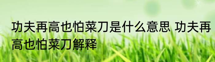 功夫再高也怕菜刀是什么意思 功夫再高也怕菜刀解释