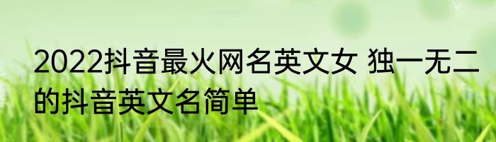 2022抖音最火网名英文女 独一无二的抖音英文名简单