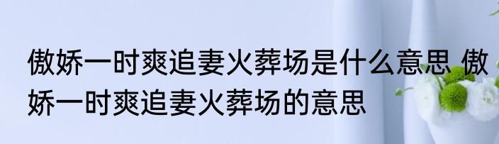 傲娇一时爽追妻火葬场是什么意思 傲娇一时爽追妻火葬场的意思