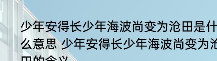 少年安得长少年海波尚变为沧田是什么意思 少年安得长少年海波尚变为沧田的含义