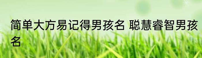 简单大方易记得男孩名 聪慧睿智男孩名