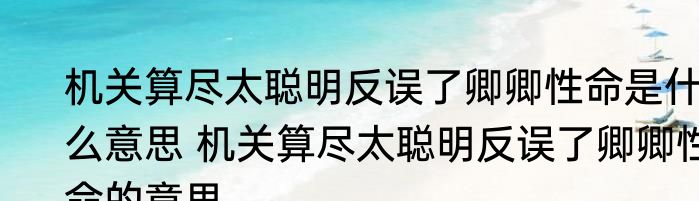 机关算尽太聪明反误了卿卿性命是什么意思 机关算尽太聪明反误了卿卿性命的意思