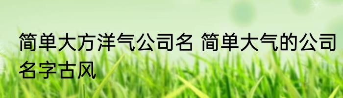 简单大方洋气公司名 简单大气的公司名字古风