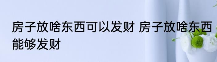 房子放啥东西可以发财 房子放啥东西能够发财