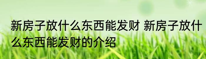 新房子放什么东西能发财 新房子放什么东西能发财的介绍