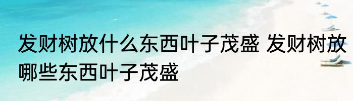 发财树放什么东西叶子茂盛 发财树放哪些东西叶子茂盛