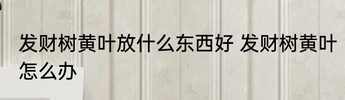 发财树黄叶放什么东西好 发财树黄叶怎么办