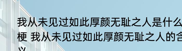我从未见过如此厚颜无耻之人是什么梗 我从未见过如此厚颜无耻之人的含义