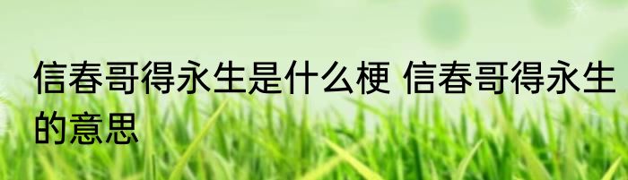 信春哥得永生是什么梗 信春哥得永生的意思
