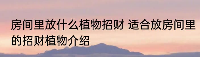 房间里放什么植物招财 适合放房间里的招财植物介绍
