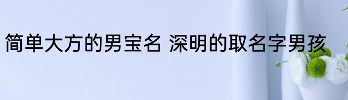 简单大方的男宝名 深明的取名字男孩