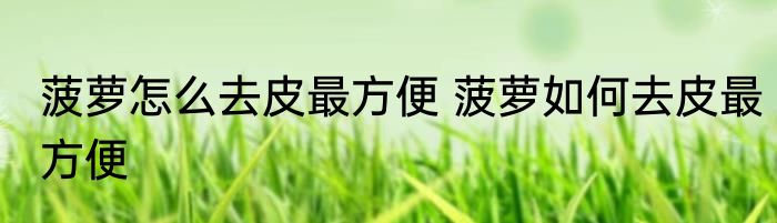 菠萝怎么去皮最方便 菠萝如何去皮最方便