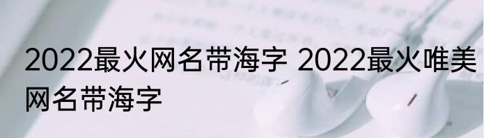 2022最火网名带海字 2022最火唯美网名带海字