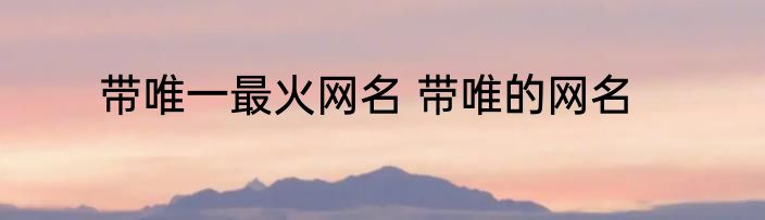 带唯一最火网名 带唯的网名