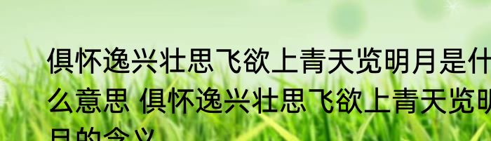 俱怀逸兴壮思飞欲上青天览明月是什么意思 俱怀逸兴壮思飞欲上青天览明月的含义