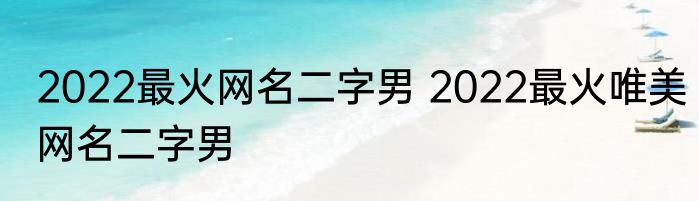 2022最火网名二字男 2022最火唯美网名二字男